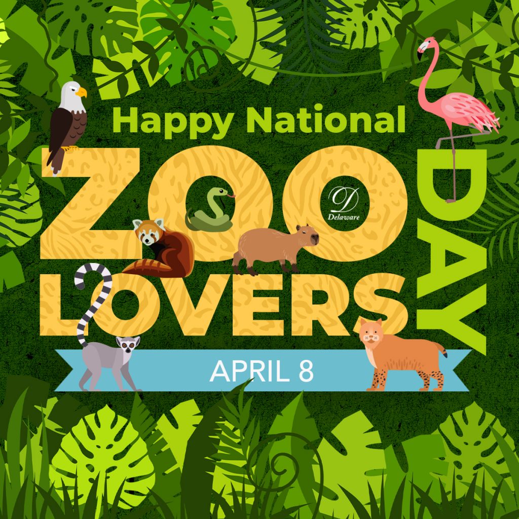 International Zoo Lovers Day Social Graphic