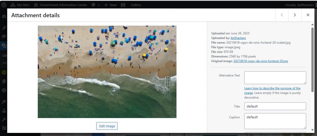 A screenshot that shows the thumbnail of the beach scene image along with content and image information and a field where alternative text can be entered.