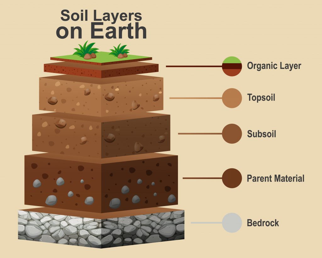 Diagram of Soil Layers on Earth, from top down: organic layer, topsoil layer, subsoil layer, parent rock layer, and last bedrock layer.
