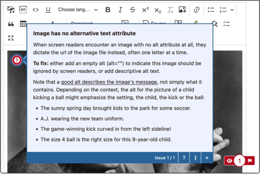 Screenshot showing a red flag regarding missing alt text.