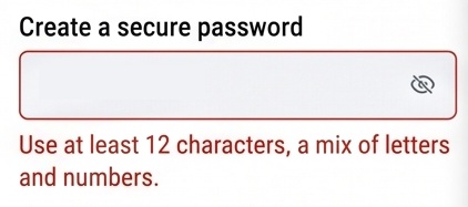 Screenshot showing a password error message.