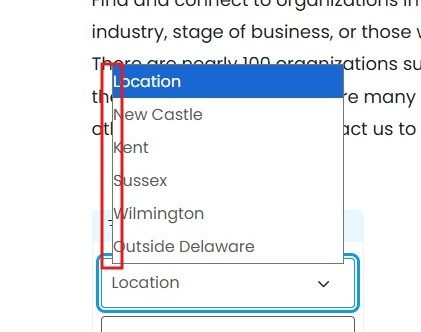 Screenshot showing combo box margin issue.